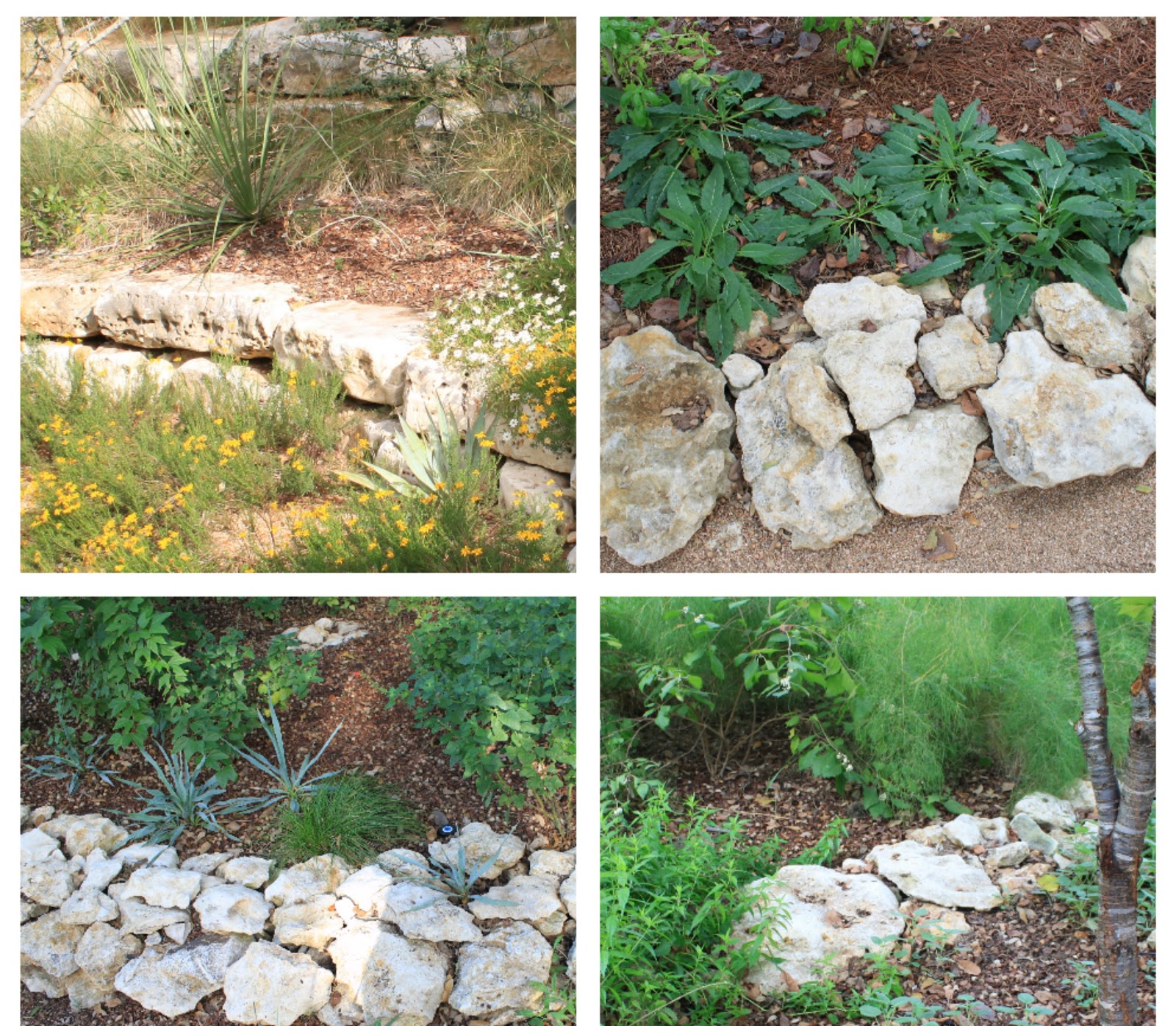 Rock Garden Border Ideas PDF